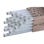 Fluorescent CWF Tube Light in BD, Fluorescent CWF Tube Light Price in BD, Fluorescent CWF Tube Light in Bangladesh, Fluorescent CWF Tube Light Price in Bangladesh, Fluorescent CWF Tube Light Supplier in Bangladesh.